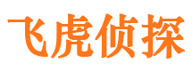 天津市侦探公司